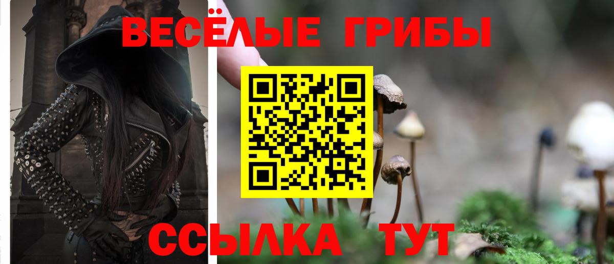Псилоцибиновые грибы прущие грибы  Вход с VPN  Красногорск  Галлюциногенные грибы MAGIC MUSHROOMS 